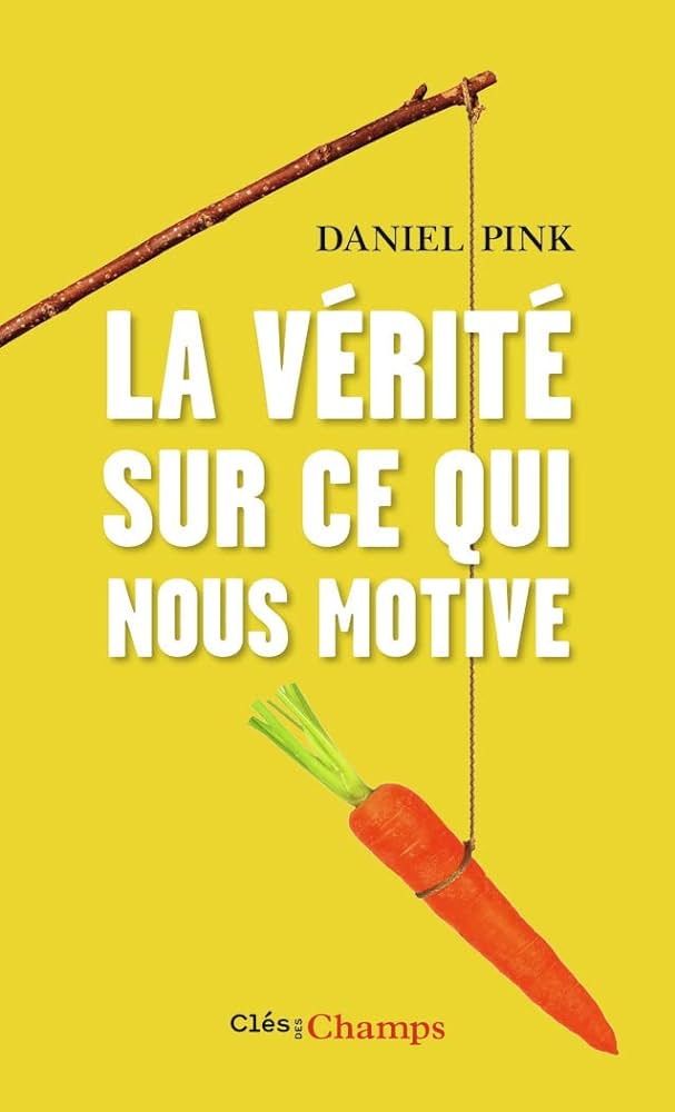 Couverture du livre "La vérité sur ce qui nous motive" - Daniel H. Pink